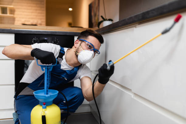 Wasp Removal Services in Rockcreek, OR