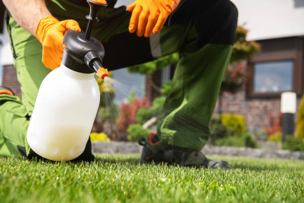 Best Flea Control Services  in Rockcreek, OR