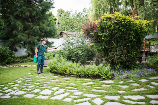 Best Exterminator Services  in Rockcreek, OR