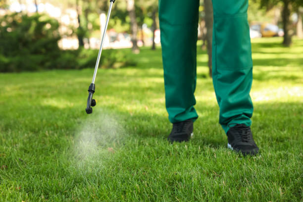 Best Pest Prevention Services  in Rockcreek, OR