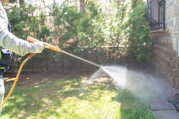 Best Wildlife Control Services  in Rockcreek, OR