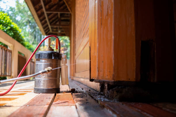Best Local Pest Control Services  in Rockcreek, OR